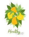 Vector vertical card with illustration of bunch of lemons, foliage and lettering. Healthy food. Hand drawn flat citrus fruit with Royalty Free Stock Photo