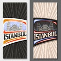 Vector vertical layouts for Istanbul