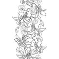 Vector vertical seamless pattern with outline Aquilegia or Columbine flower, bud and ornate leaf in black on the white background.