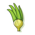 Vector of a vibrant and fresh collection of onions on a clean white background Royalty Free Stock Photo