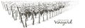 Vector Vine plantation hills landscape. Drawing of rows of vineyards with wine stains. line sketch illustration Royalty Free Stock Photo