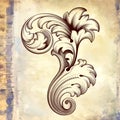 Vector Vintage Baroque Floral Scroll Pattern