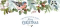 Bird Christmas border Royalty Free Stock Photo