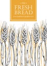 Vector vintage bread and bakery illustration. Hand drawn banner.