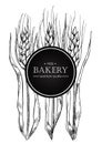 Vector vintage bread and bakery illustration. Hand drawn banner.
