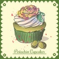 Vector vintage card. Pistachio cupcakes