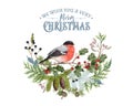 Bullfinch Christmas composition