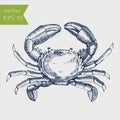 Vector vintage crab drawing. Hand drawn monochrome seafood illustration