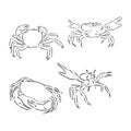 Vector vintage crab drawing. Hand drawn monochrome seafood illustration. Great for menu, poster or label. crab animal vector Royalty Free Stock Photo