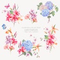 Vector vintage floral set of hydrangeas, orchids Royalty Free Stock Photo
