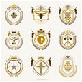 Vector vintage heraldic Coat of Arms designed in award style. Medieval towers, armory, royal crowns, stars and other graphic Royalty Free Stock Photo