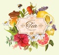 Vector vintage herbal tea banner Royalty Free Stock Photo