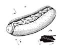 Vector vintage hot dog drawing. Hand drawn monochrome fast food Royalty Free Stock Photo