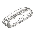 Vector vintage hot dog drawing. Hand drawn monochrome fast food illustration. Royalty Free Stock Photo