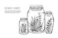 Vector Vintage Illustration With Hand Drawn Plants, Herbs, Branches And Floral Elements In Glass Jars On White Background