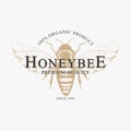 Vector vintage logo with hand drawn sketch honey bee isolated on white background. Natural organic design concept for emblem,