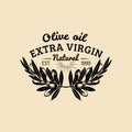 Vector vintage olive logo. Retro emblem with branches. Hand sketched natural extra virgin oil production sign.