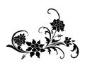 Vector vintage ornament calligraphy motive pattern Royalty Free Stock Photo
