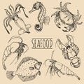 Vector vintage seafood sketches collection. Hand drawn fish illustrations for restaurant, cafe menu, market ad. Royalty Free Stock Photo