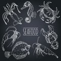 Vector vintage seafood sketches collection. Hand drawn fish illustrations for restaurant, cafe menu, market ad. Royalty Free Stock Photo