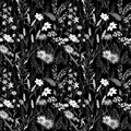 Vector vintage seamless floral pattern. Herbs and wild flowers. Botanical Illustration engraving style. Black and white Royalty Free Stock Photo