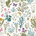 Vector vintage seamless floral pattern. Royalty Free Stock Photo