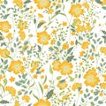 Vector vintage seamless floral pattern. Herbs and wild flowers. Royalty Free Stock Photo