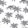 Vector vintage seamless pattern with cardamom isolated on white. Spice in sketch style. Hand drawn engraving texture