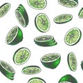 Vector vintage seamless pattern with lime isolated on white. Hand drawn color texture with green slices of citrus. Fruit rounds Royalty Free Stock Photo