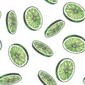 Vector vintage seamless pattern with lime isolated on white. Hand drawn color texture with green slices of citrus. Fruit rounds Royalty Free Stock Photo