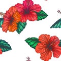 Vector vintage seamless pattern with red tropical flowers isolated on white. Hibiscus with leaves in engraving style. Hand drawn Royalty Free Stock Photo