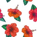 Vector vintage seamless pattern with red tropical flowers isolated on white. Hibiscus with leaves in engraving style. Hand drawn Royalty Free Stock Photo