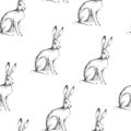 Vector vintage seamless pattern with sitting hare isolated on white. Hand drawn texture with rabbit in sketch style. Background w