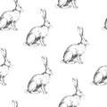 Vector vintage seamless pattern with sitting hare isolated on white. Hand drawn texture with rabbit in sketch style. Background w