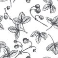 Vector vintage seamless pattern with wild strawberry in engraving style. Hand drawn botanical texture with berries. Black and Royalty Free Stock Photo