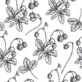 Vector vintage seamless pattern with wild strawberry in engraving style. Hand drawn botanical texture with berries. Black and Royalty Free Stock Photo