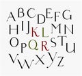 Vector vintage serif font