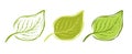 Vector vintage set icons of leaf. Vector illustration of leaves on white background on doodle style. Eco product Royalty Free Stock Photo