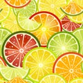 Vector vivid seamless pattern with colorful citrus slices