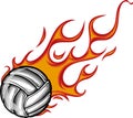 Vector Volleyball Flaming Ball Cartoon illustration in white background