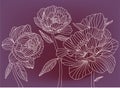 vector wallpaper peony flowers with contrasting lines