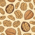 Vector walnut colorful seamless pattern