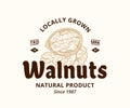 Vector walnut label design