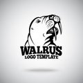 Vector Walrus logo template for sport teams, business etc Royalty Free Stock Photo