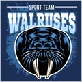 Vector Walrus logo template for sport teams, business etc.