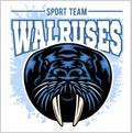 Vector Walrus logo template for sport teams, business etc. Royalty Free Stock Photo