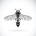 Vector of a wasp on a white background. Insect.