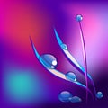 Vector water drops on blade of grass. Purple background