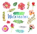 Vector watercolor aquarelle flowers and leaves. Royalty Free Stock Photo