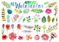 Vector watercolor aquarelle flowers and leaves.